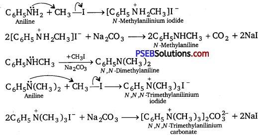 PSEB 12th Class Chemistry Solutions Chapter 13 Amines 63