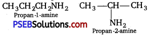 PSEB 12th Class Chemistry Solutions Chapter 13 Amines 65