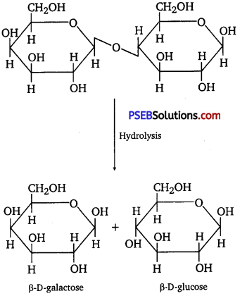 PSEB 12th Class Chemistry Solutions Chapter 14 Biomolecules 3