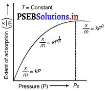 PSEB 12th Class Chemistry Solutions Chapter 5 Surface Chemistry 1