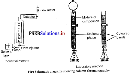 PSEB 12th Class Chemistry Solutions Chapter 6 General Principles and Processes of Isolation of Elements 4