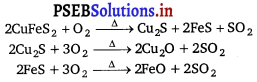 PSEB 12th Class Chemistry Solutions Chapter 6 General Principles and Processes of Isolation of Elements 6