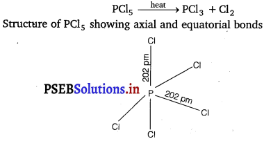 PSEB 12th Class Chemistry Solutions Chapter 7 The p-Block Elements 24