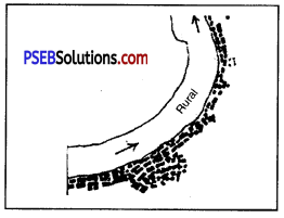 PSEB 12th Class Geography Solutions Chapter 3 मानवीय संसाधन-मानवीय विकास तथा बस्तियाँ 8