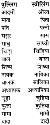 PSEB 5th Class Hindi Grammar Vyakaran 1