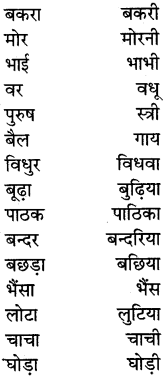 PSEB 5th Class Hindi Grammar Vyakaran 2
