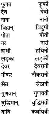PSEB 5th Class Hindi Grammar Vyakaran 3