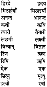PSEB 5th Class Hindi Grammar Vyakaran 31