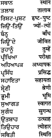 PSEB 5th Class Hindi Grammar Vyakaran 38