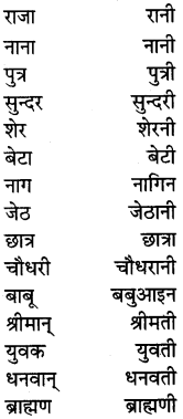 PSEB 5th Class Hindi Grammar Vyakaran 4