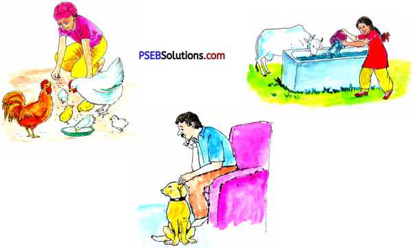 PSEB 5th Class Hindi Solutions Chapter 14 हंस किसका 2