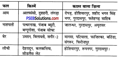 PSEB 6th Class Agriculture Solutions Chapter 7 पंजाब के मुख्य फल 4