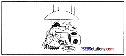 PSEB 6th Class Home Science Practical विभिन्न प्रकार के चूल्हे 1