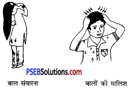 PSEB 6th Class Physical Education Solutions Chapter 1 स्वास्थ्य 1