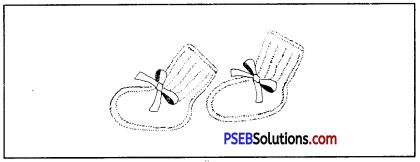 PSEB 7th Class Home Science Practical बच्चों के बूट 1