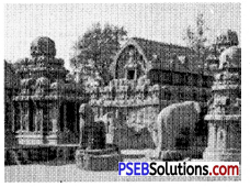 PSEB 7th Class Social Science Solutions Chapter 9 दक्षिणी भारत में राजनीतिक विकास (700-1200 ई० तक) 1