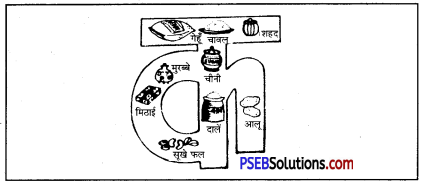 PSEB 8th Class Home Science Solutions Chapter 1 निजी देखभाल 1