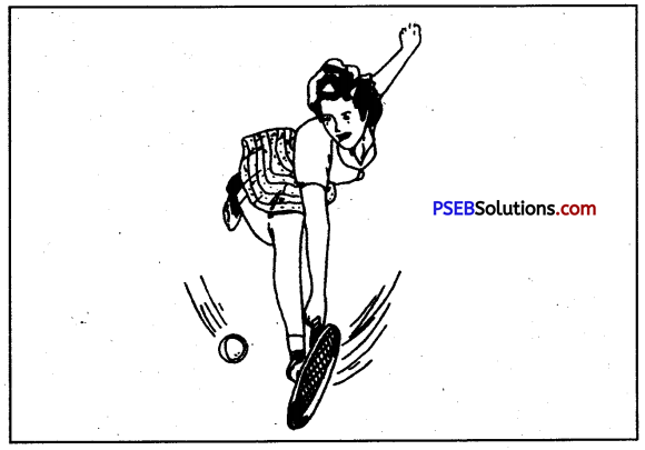 PSEB 9th Class Physical Education Solutions Chapter 1 शारीरिक शिक्षा-इसके गुण एवं उद्देश्य 1