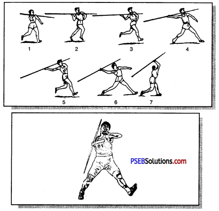 ऐथलैटिक्स (Athletics) Game Rules - PSEB 11th Class Physical Education 25