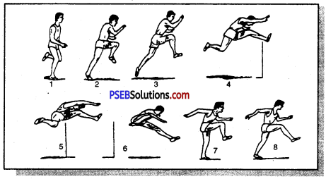 ऐथलैटिक्स (Athletics) Game Rules - PSEB 11th Class Physical Education 7