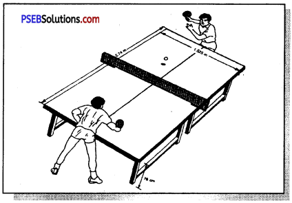 टेबल टेनिस (Table Tennis) Game Rules - PSEB 11th Class Physical Education 1