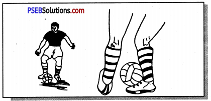 फुटबाल (Football) Game Rules - PSEB 11th Class Physical Education 5