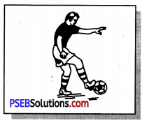 फुटबाल (Football) Game Rules - PSEB 11th Class Physical Education 8