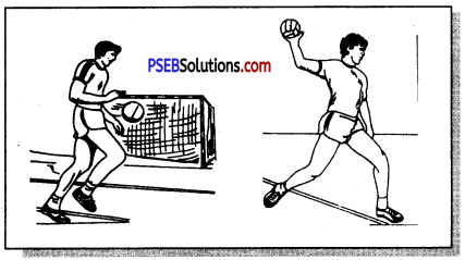 हैंडबाल (Hand Ball) Game Rules - PSEB 11th Class Physical Education 3