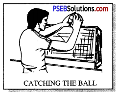 हैंडबाल (Hand Ball) Game Rules - PSEB 11th Class Physical Education 4