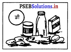 PSEB 10th Class Physical Education Solutions Chapter 2 ਸੰਤੁਲਿਤ ਭੋਜਨ 4
