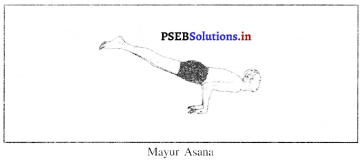 PSEB 10th Class Physical Education Solutions Chapter 3 ਯੋਗ 10