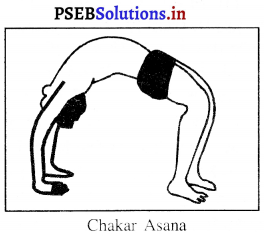 PSEB 10th Class Physical Education Solutions Chapter 3 ਯੋਗ 13