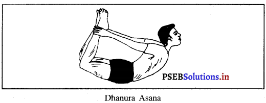 PSEB 10th Class Physical Education Solutions Chapter 3 ਯੋਗ 3