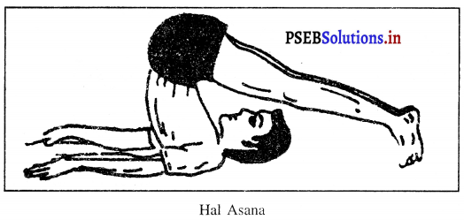 PSEB 10th Class Physical Education Solutions Chapter 3 ਯੋਗ 5