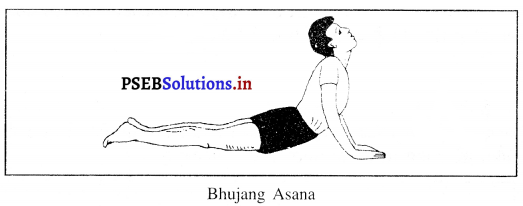 PSEB 10th Class Physical Education Solutions Chapter 3 ਯੋਗ 7