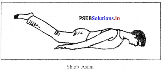 PSEB 10th Class Physical Education Solutions Chapter 3 ਯੋਗ 8