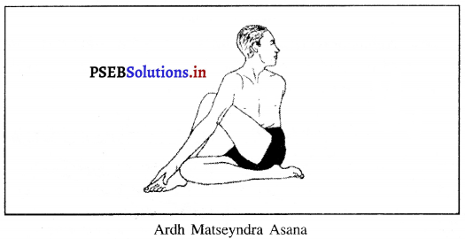 PSEB 10th Class Physical Education Solutions Chapter 3 ਯੋਗ 9