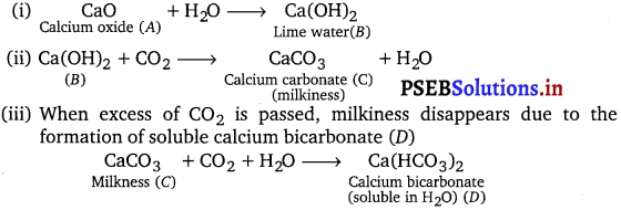 PSEB 11th Class Chemistry Important Questions Chapter 10 The s-Block Elements 4