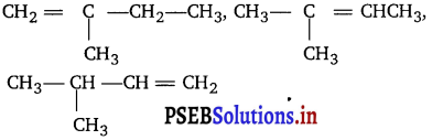 PSEB 11th Class Chemistry Important Questions Chapter 13 Hydrocarbons 13