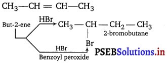 PSEB 11th Class Chemistry Important Questions Chapter 13 Hydrocarbons 3