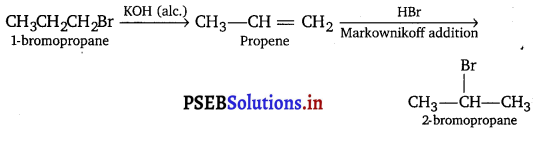 PSEB 11th Class Chemistry Important Questions Chapter 13 Hydrocarbons 4