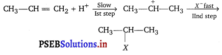PSEB 11th Class Chemistry Important Questions Chapter 13 Hydrocarbons 7