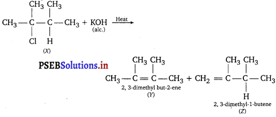 PSEB 11th Class Chemistry Important Questions Chapter 13 Hydrocarbons 8