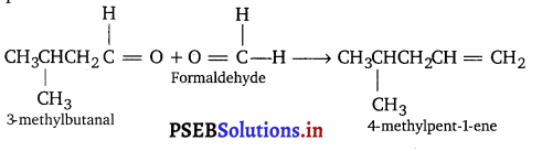 PSEB 11th Class Chemistry Important Questions Chapter 13 Hydrocarbons 9