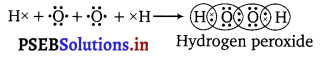 PSEB 11th Class Chemistry Important Questions Chapter 9 Hydrogen 1