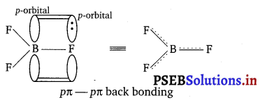 PSEB 11th Class Chemistry Solutions Chapter 11 The p-Block Elements 12