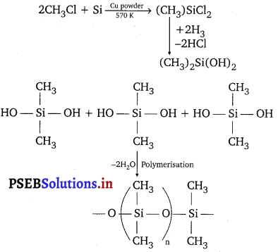 PSEB 11th Class Chemistry Solutions Chapter 11 The p-Block Elements 21