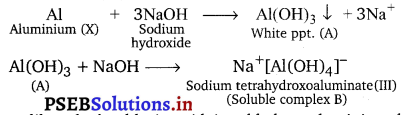 PSEB 11th Class Chemistry Solutions Chapter 11 The p-Block Elements 24