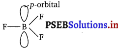 PSEB 11th Class Chemistry Solutions Chapter 11 The p-Block Elements 5