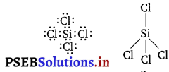 PSEB 11th Class Chemistry Solutions Chapter 11 The p-Block Elements 8